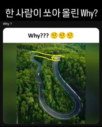Why?