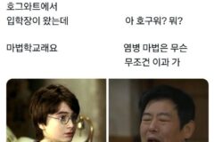 해리포터 이모부가 성동일이었다면