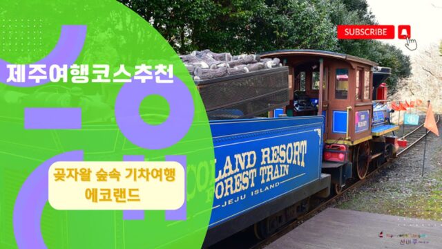 제주 에코랜드 4월 제주 여행 코스 추천 | 기차여행 후기 (입장료, 동백꽃, 포레스트파크)