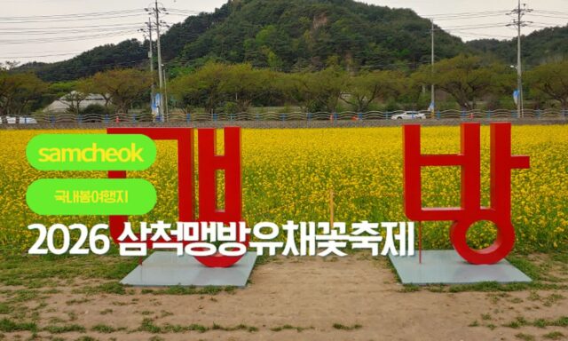 삼척 맹방유채꽃축제 2026 (일정, 주차, 라인업, BTS 촬영지 맹방해수욕장, 덕봉산 코스까지 솔직 정리)