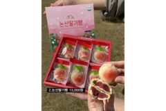 논산딸기축제에서 판매 한다는 딸기 먹거리.jpg
