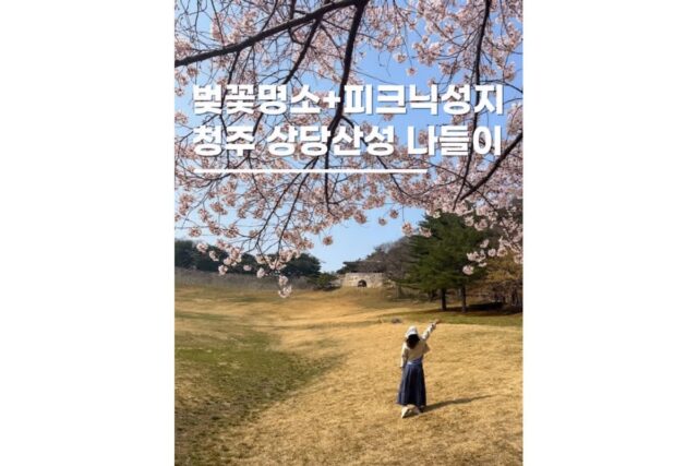 청주벚꽃명소 피크닉하기 좋은 상당산성 가족나들이