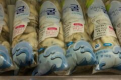 마트에서 ‘이 굴’은 먹지마세요. 노로 바이러스 걸릴 수 있습니다!