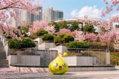 성남 벚꽃 명소 7곳 모음집, 율동공원·중앙공원 외 직장인 봄꽃 산책 코스 추천
