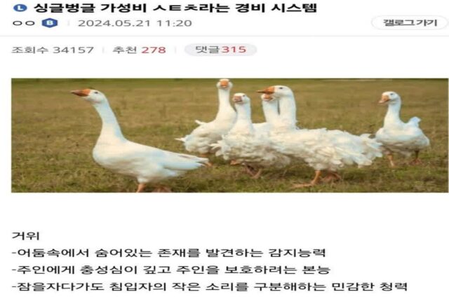 가성비 최고라는 생체 경비 시스템