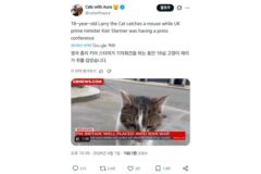 (속보) 영국 총리가 기자회견을 하는 동안 16살 고양이 래리가 쥐를 잡았습니다