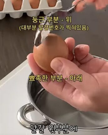 집에서 감동란 만드는 방법