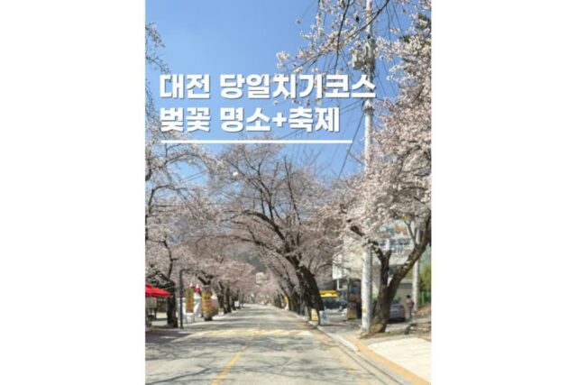 대전 벚꽃명소축제 드라이브코스 맛집 카페까지 당일치기