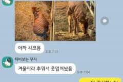 롤 하다가 송아지 태어나서 탈주한 사람 근황ㅋㅋㅋㅋㅋ