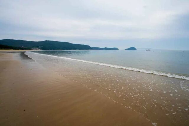 2026 남해가볼만한곳, 봄꽃 가득한 여행지 BEST 6