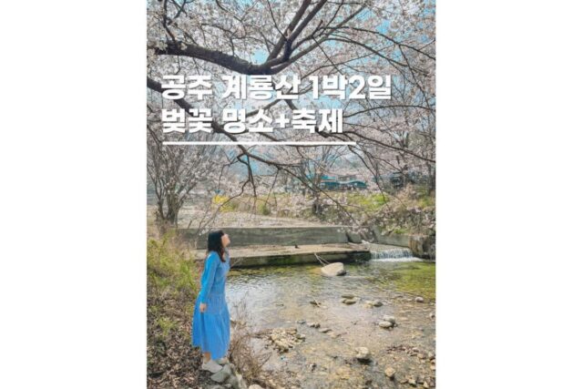 공주 계룡산 동학사 벚꽃축제와 1박2일여행코스 가볼만한곳