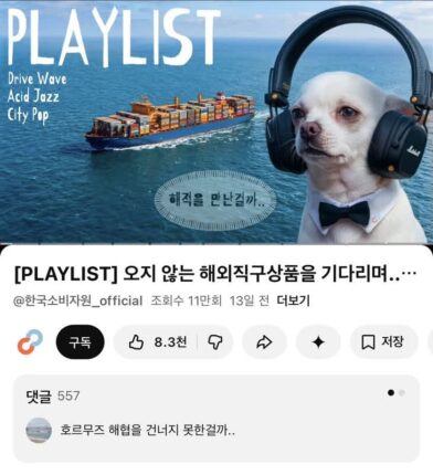 한국소비자원 유튜브에서 올려주는 플레이리스트
