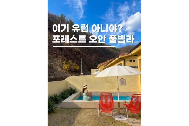 대전풀빌라펜션 온수풀수영장 자쿠지 독채 감성숙소 포레스트 오안