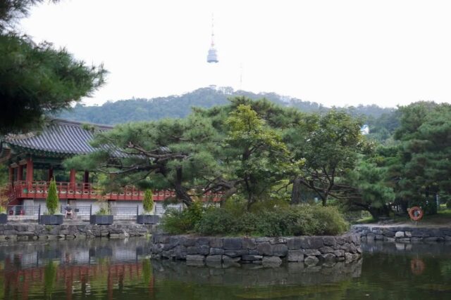 2026 봄, 남산타워 완벽 방문 가이드: 축제부터 벚꽃 명소 5곳