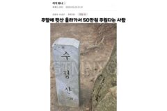 등산하다가 50만원을 주운 사람의 최후