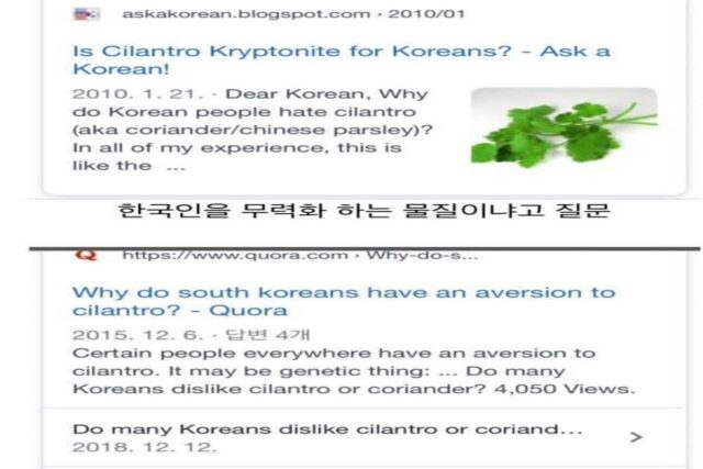 고수 못먹는 게 그냥 호불호라고 생각했는데