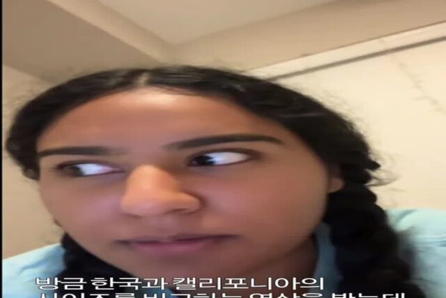 한국의 사이즈를 보고 충격받은 미국인