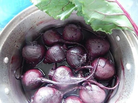 “콩팥을 망가뜨립니다” 몸에 좋다고 매일 갈아 마시면 신장 기능 급격히 떨어지는 채소
