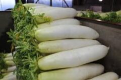 “시장에서 천원이면 한 봉지 삽니다..” 혈전 싹 녹여주는 가성비 1위 천연 청소부 채소
