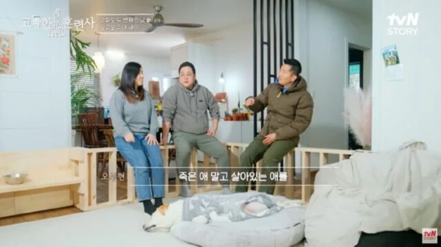 편견 없이 동물을 좋아하는 사람