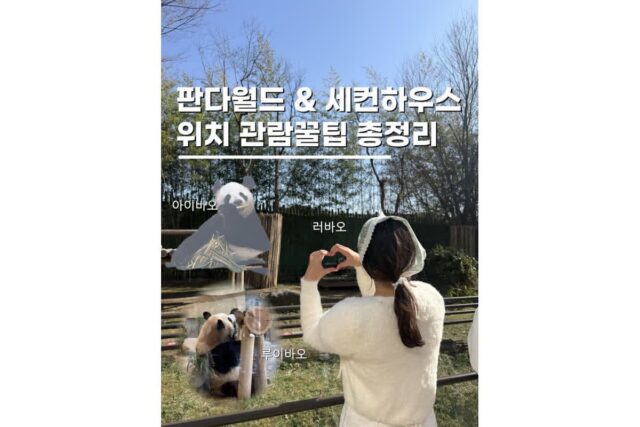 에버랜드 큐패스 판다월드 세컨하우스 위치 사진 꿀팁