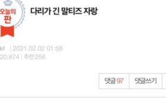 다리가 긴 말티즈 자랑