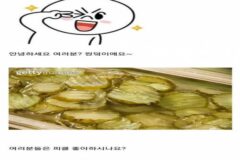 피클이 울퉁불퉁한 이유