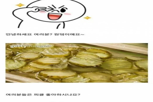 피클이 울퉁불퉁한 이유