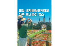 2026 태안 세계튤립꽃박람회 봄나들이 명소 실시간후기