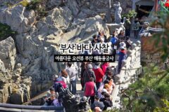 부산 바다 사찰 아름다운 오션뷰 부산 해동용궁사