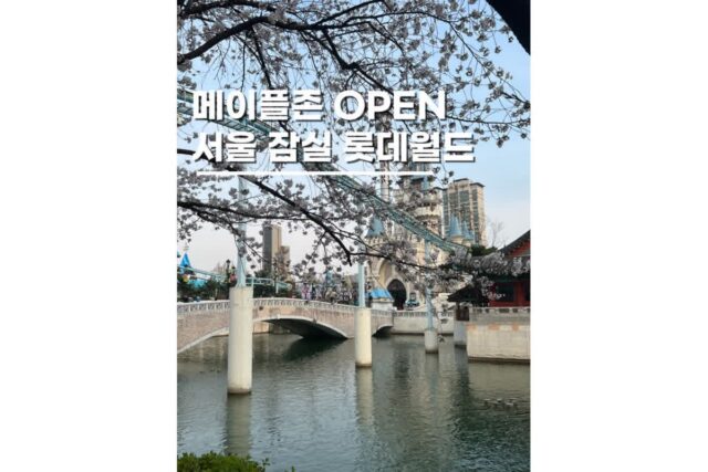 롯데월드 서울잠실 메이플 퍼레이드 정보 오후권 할인
