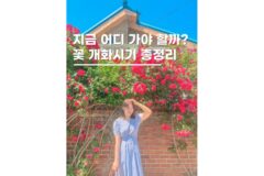 여름 국내여행지 추천 6월 7월 놓치면 후회하는 꽃 10개