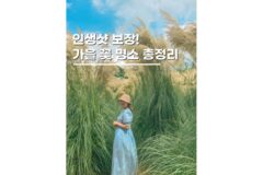 가을 국내여행지 추천 9월 10월 꽃축제 명소 개화시기 총정리
