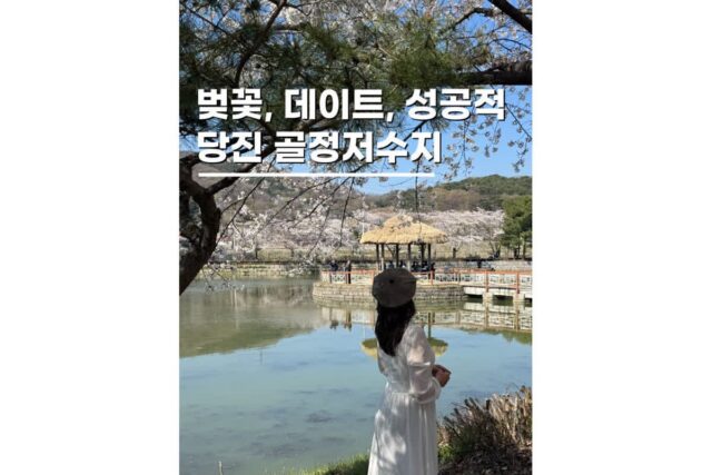 당진벚꽃명소 충남여행 가볼만한곳 골정저수지