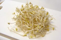 콩나물 끓이지 말고 “이렇게” 만드세요, 너무 맛있어서 젓가락이 안 멈춥니다.