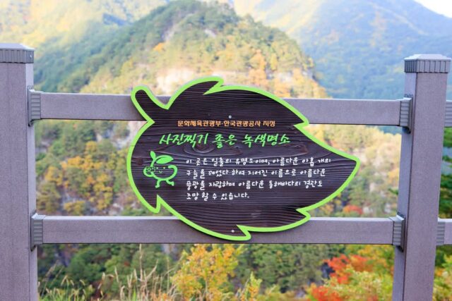 푸른 동해의 숨결, 울진가볼만한곳 추천 명소 5곳