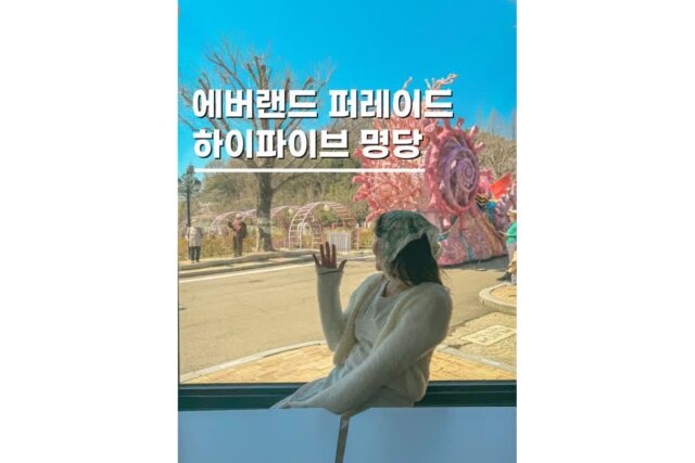 에버랜드 퍼레이드 시간 명당위치 장미원 하이파이브 꿀팁