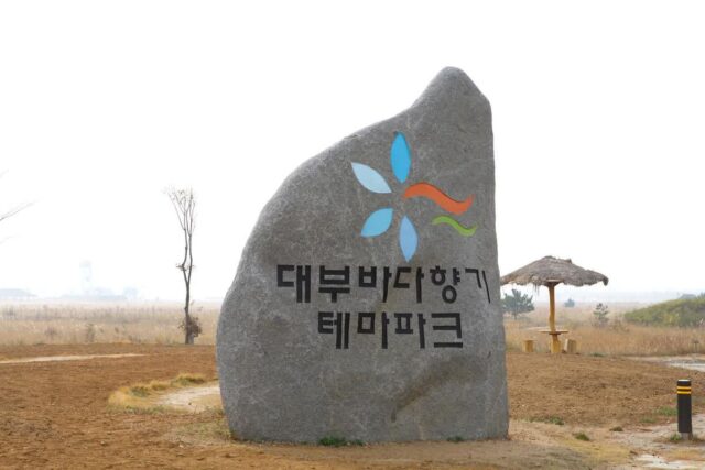 2026 대부도갈만한곳, 싱그러운 봄 방문 BEST 6곳 완벽 코스