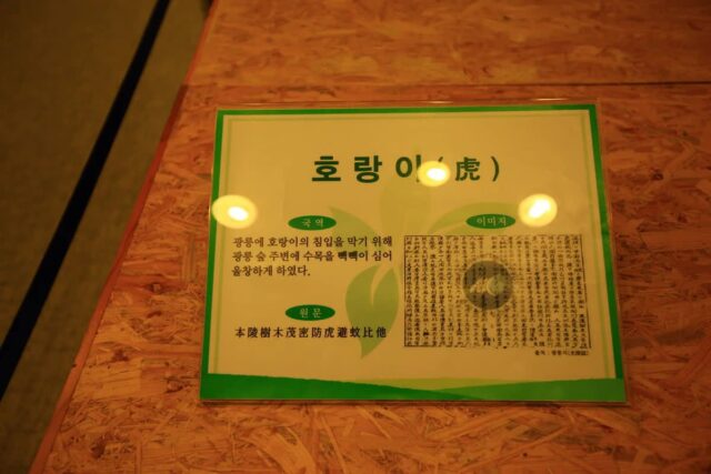 2026 광릉수목원, 봄날의 완벽한 숲 산책 추천 5곳