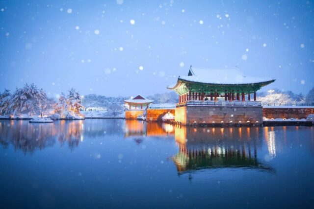 2026 경주벚꽃축제 최신 가이드, 놓치지 말아야 할 명소 5곳