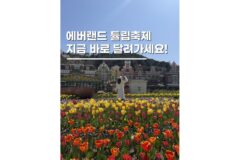 경기도 용인 가볼만한곳 에버랜드 튤립축제 아이랑 여행