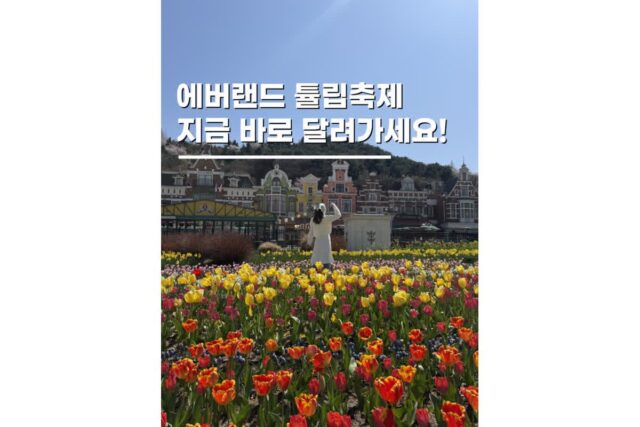 경기도 용인 가볼만한곳 에버랜드 튤립축제 아이랑 여행