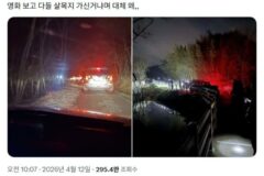 영화 개봉 후 관광지 된 살목지 근황