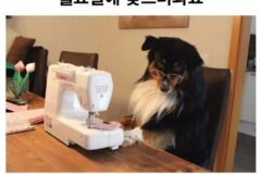 세계 친구들아 찾고 싶은 간식이 있는데 도와줘