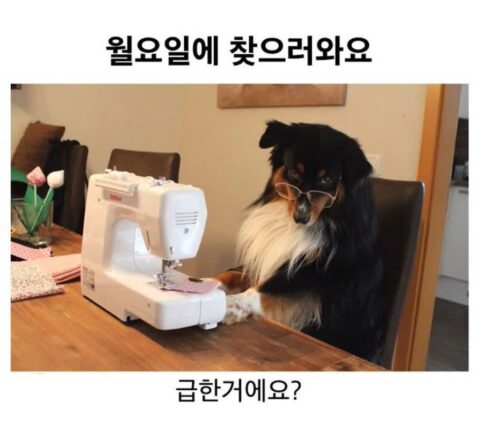 세계 친구들아 찾고 싶은 간식이 있는데 도와줘
