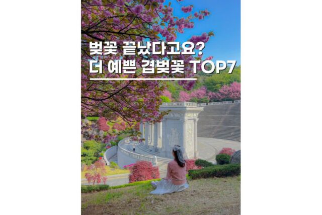 전국 겹벚꽃 명소 봄 4월 국내여행지 가볼만한곳 TOP7