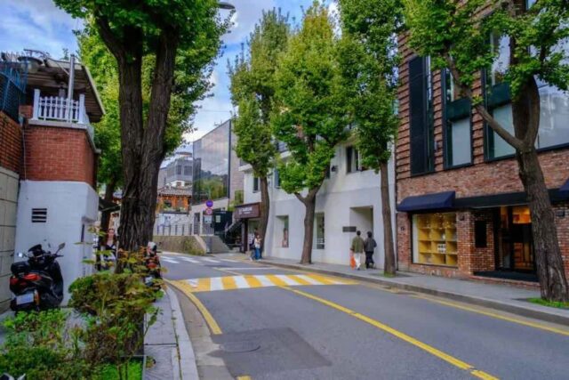 서울데이트 2026 봄, 특별한 추억 남길 명소 5곳