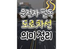 도로 차선 의미 정리