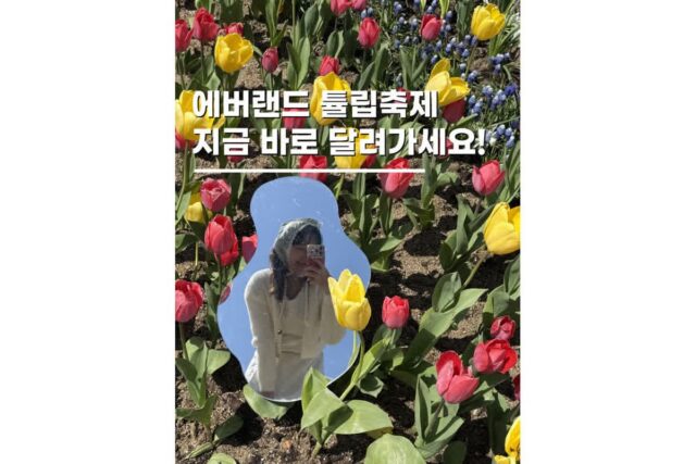국내 커플여행지추천 용인 당일치기 에버랜드 데이트꿀팁