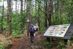 봄 트레킹 핫플…영주 동서트레일 ‘20km 백패킹 코스’
